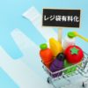レジ袋有料化(2020年7/1〜)になったら、ゴミ出し用に買うこともありそう